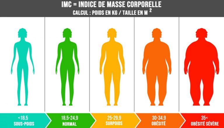 Comment calculer son IMC ?